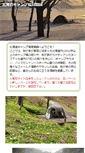Mobile Screenshot of hokkaicamp.com